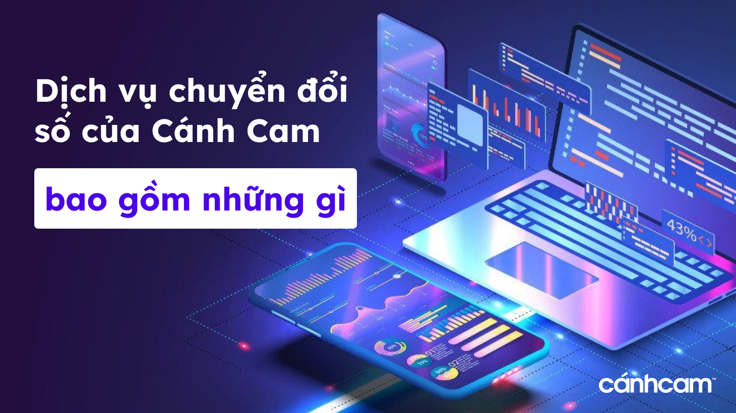 Dịch vụ chuyển đổi số của Cánh Cam bao gồm những gì?