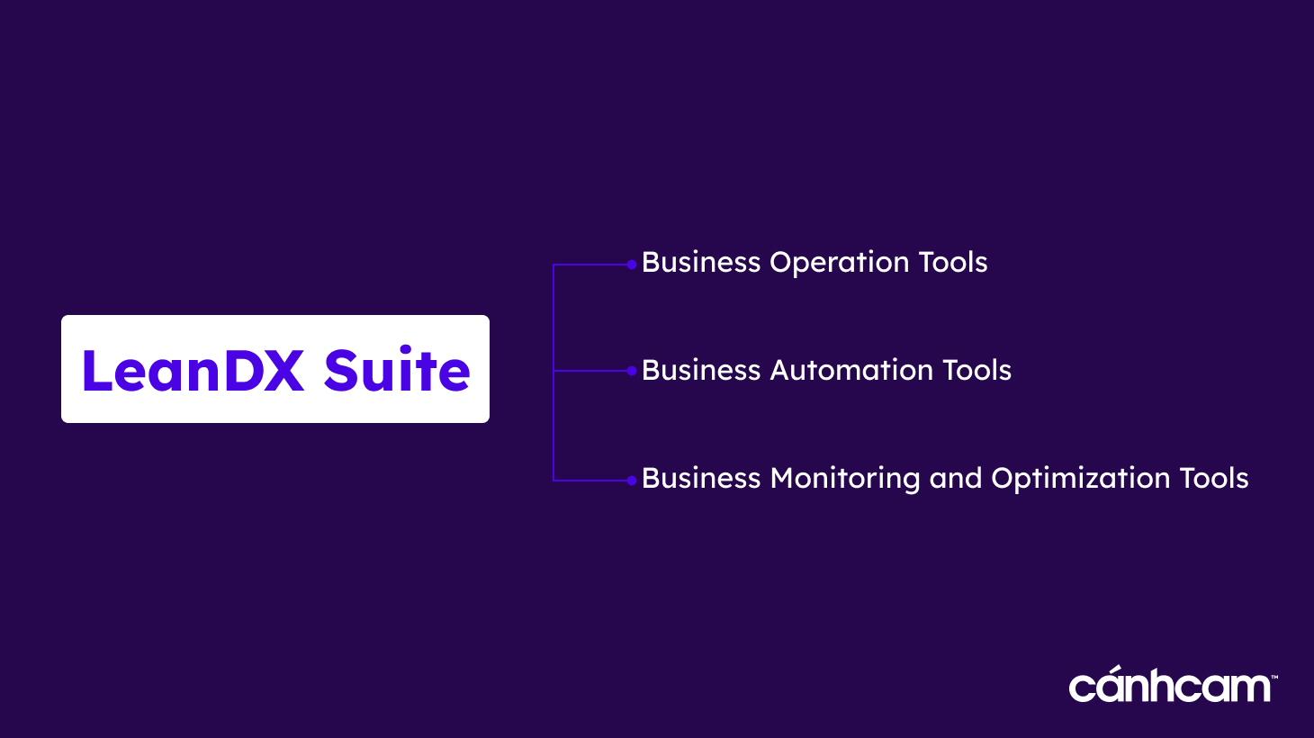 Dịch vụ chuyển đổi số LeanDX Suite của Cánh Cam