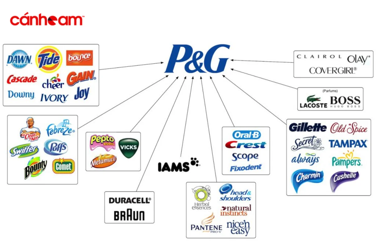 5 modules của Brand Marketing 2 là Brand Strategy Planning