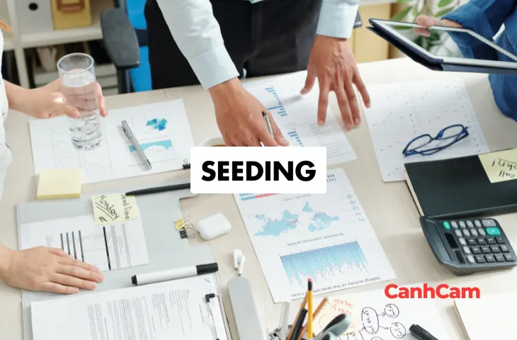 Các phương pháp seeding hiệu quả