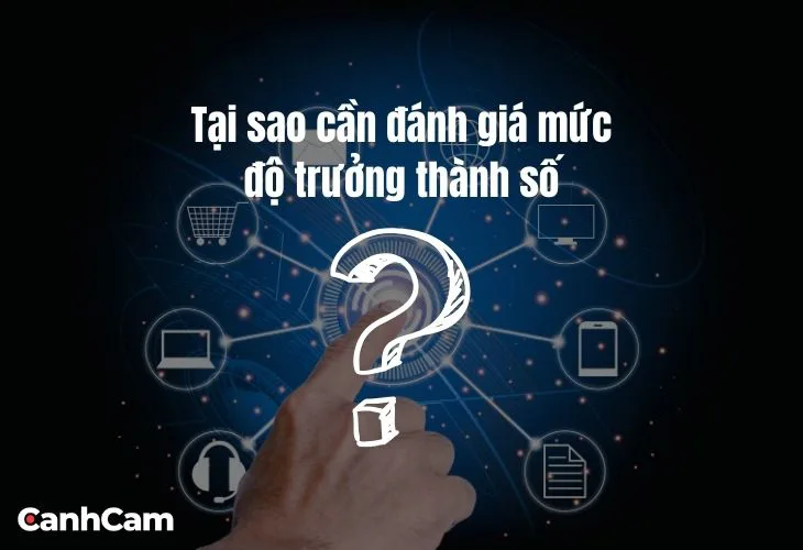 Đánh giá mức độ sẵn sàng chuyển đổi số Digital Maturity là quá trình đo lường mức độ ứng dụng công nghệ số của doanh nghiệp trong các hoạt động kinh doanh