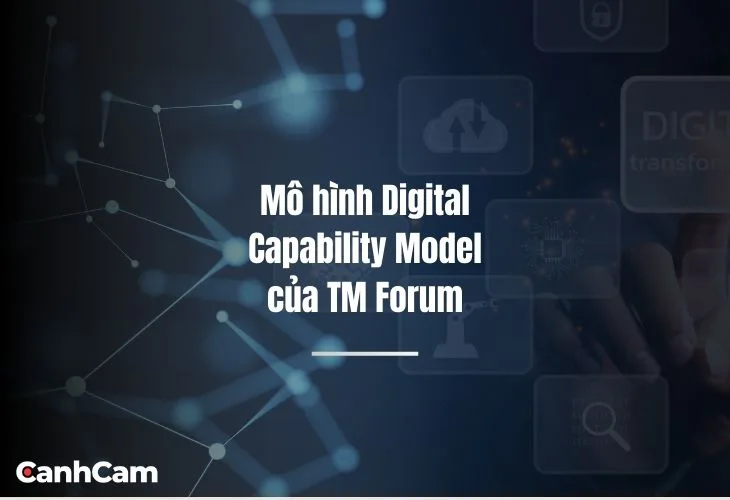 Mô hình Digital Capability Model của TM Forum