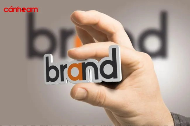 Doanh nghiệp nên lựa chọn tên thương hiệu - brand name được bảo hộ để trảnh rủi ro