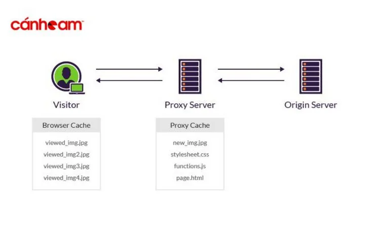 Browser Cache dùng để cải thiện hiệu suất cho những trang web thường được nhiều truy cập