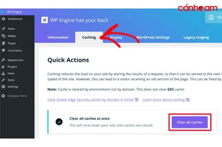 Xóa Cache trên WP Engine