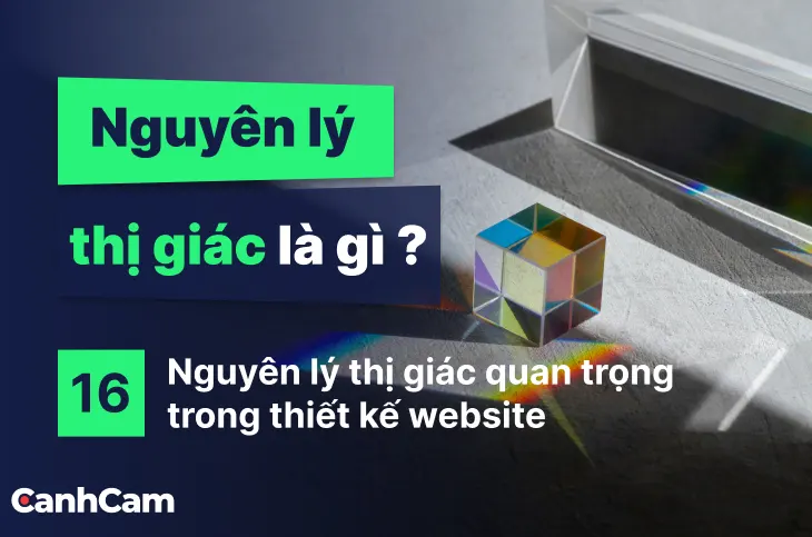 Nguyên lý thị giác là gì