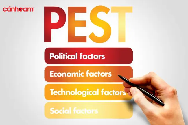 PEST là mô hình phân tích cực kỳ quan trọng đối với doanh nghiệp