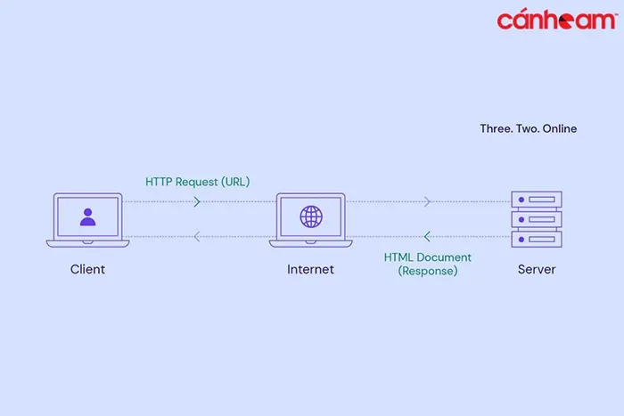 Server Web được sử dụng để lưu trữ dữ liệu và thông tin trên các trang web