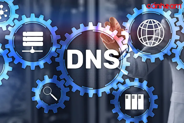 Server DNS có chức năng phân giải tên miền