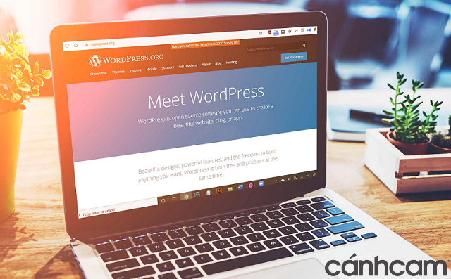 Hướng dẫn thiết kế web bằng WordPress