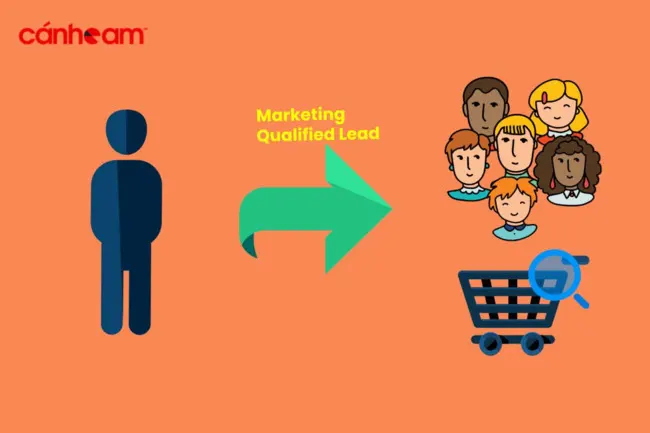 Marketing qualified lead luôn tương tác cho một hành động nhất định