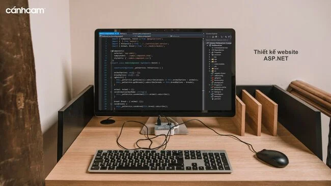 thiết kế website asp.net