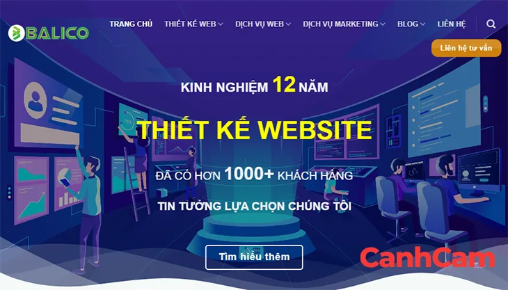 Sao Kim Công ty thiết kế website chuyên nghiệp tại Biên Hòa