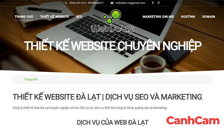 SEO Web Đà Lạt dịch vụ thiết kế website tại Đà Lạt