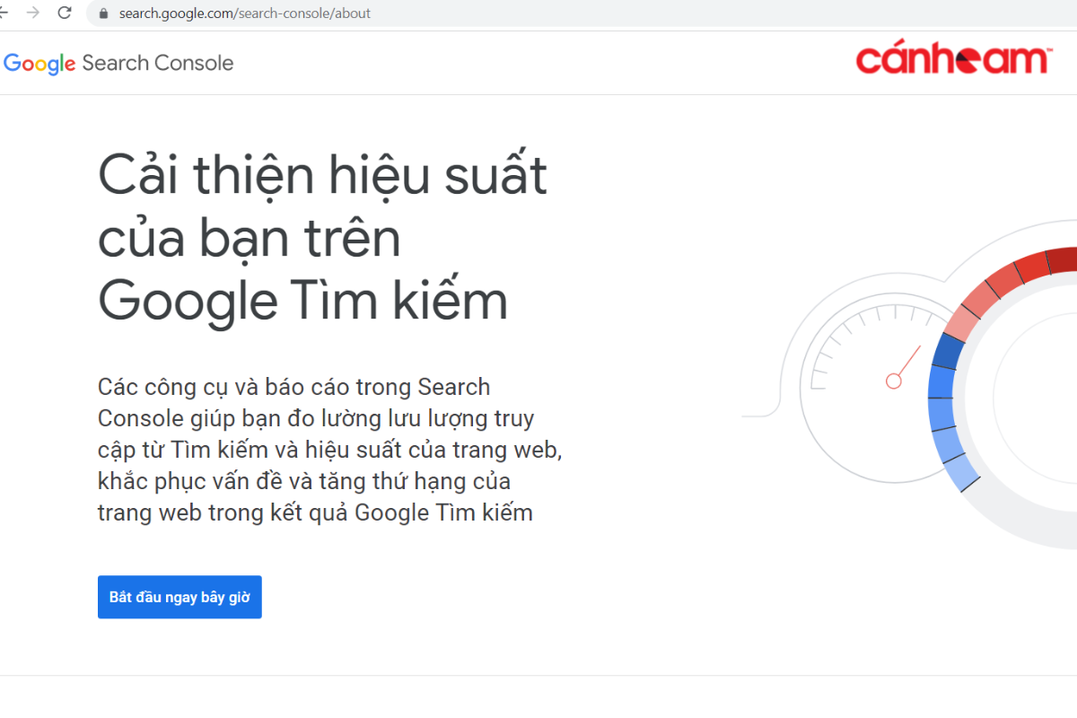 Google Search Console là gì?