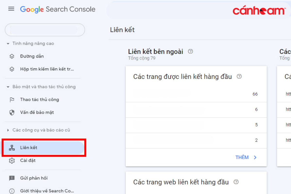 Hướng dẫn kiểm tra liên kết ngoài và trong trang bằng Google Search Console