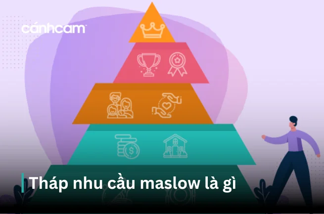 >Lịch sử phát triển Tháp nhu cầu Maslow