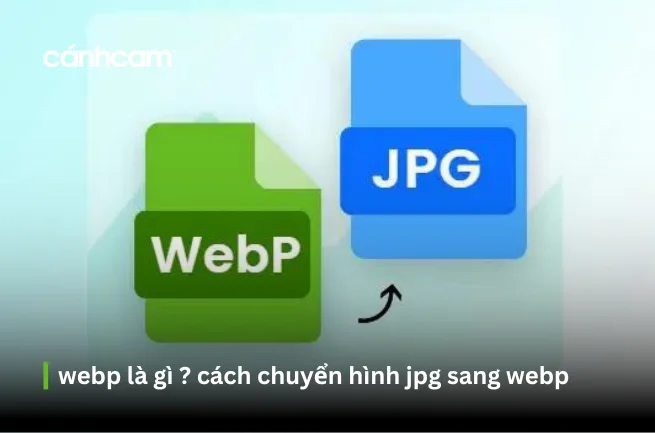 webp là gì ? cách chuyển đổi hình ảnh JPG, JPEG, PNG sang WebP