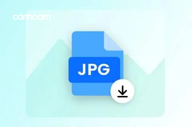 webp là gì ? cách chuyển đổi hình ảnh JPG, JPEG, PNG sang WebP